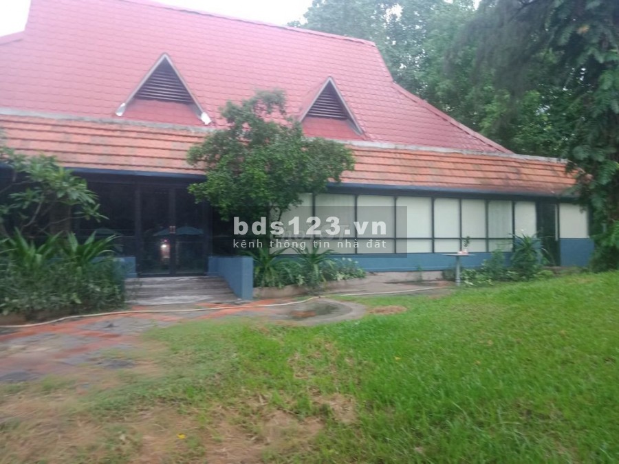Cho thuê NNC Đường nội bộ 3 Tháng 2, P.12, Q. 10. ngang 35 x 10m, giá 85tr