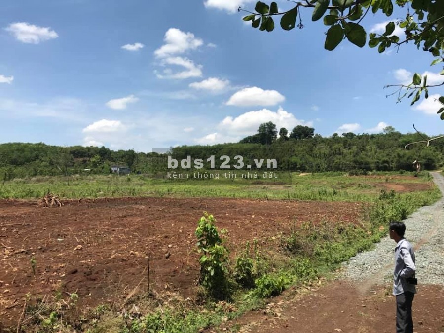 Bán đất tại Bình Long-Bình Phước giá chỉ 179tr/1000m2, Hỗ trợ ngân hàng 60%