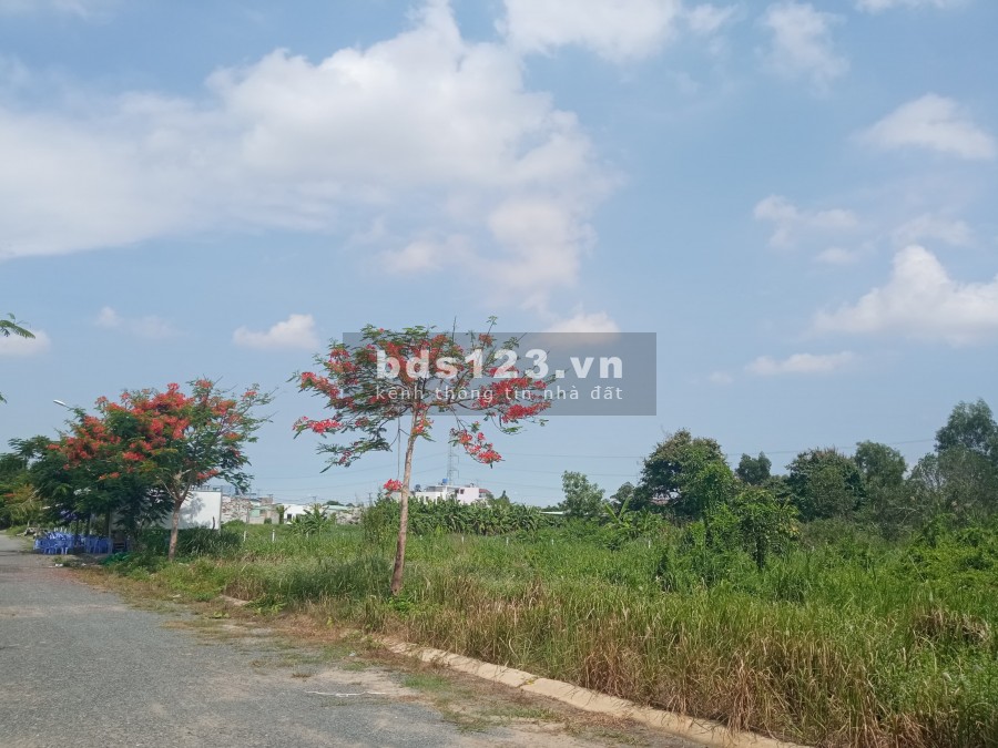 Đất nền Long An mặt tiền đường DT826 đân cư đông đức xây dựng tự do