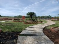 Bán gấp miếng đất để trả nợ, tại khu công nghiệp Dầu Giây, lh 0384789181 or 0587853561