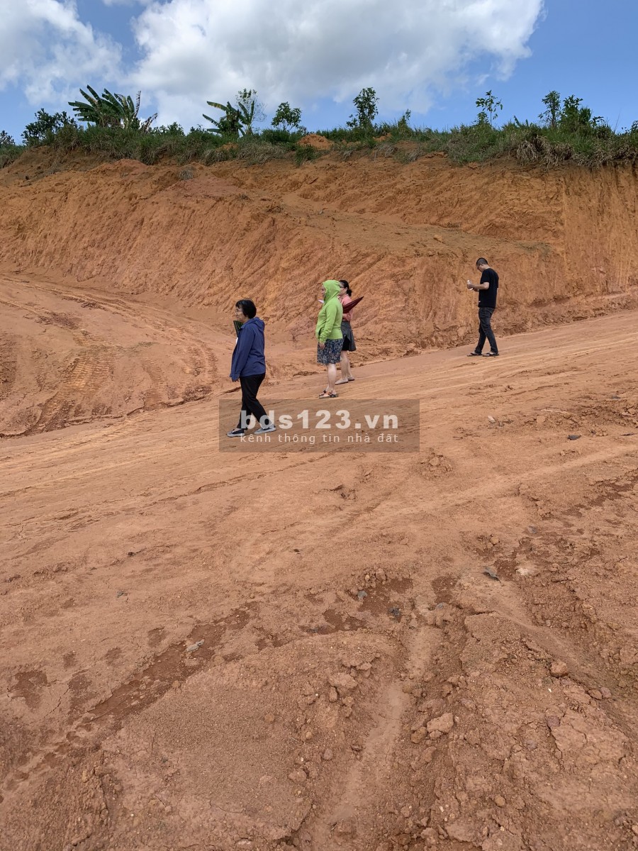 Bán đất 521m2 đất có sổ Hồng tại Bảo Lâm Bảo Lộc Lâm Đồng