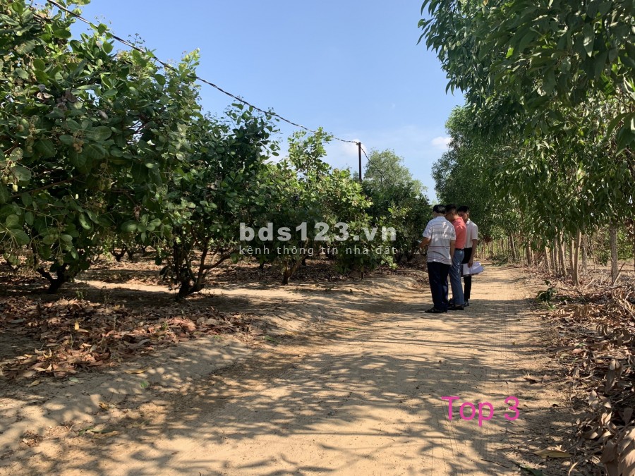 Top 3 lô đất đẹp nhất xã Phước Bình-Long Thành chính chủ cần bán