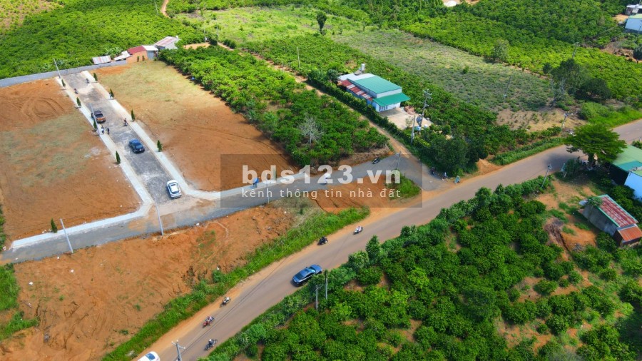 Đất phường Lộc Sơn, diện tích 1000m2, giá 1 tỷ 2