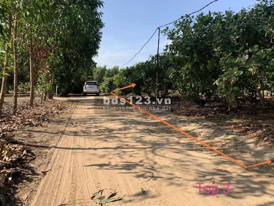 Top 3 lô đất đẹp nhất xã Phước Bình-Long Thành chính chủ cần bán