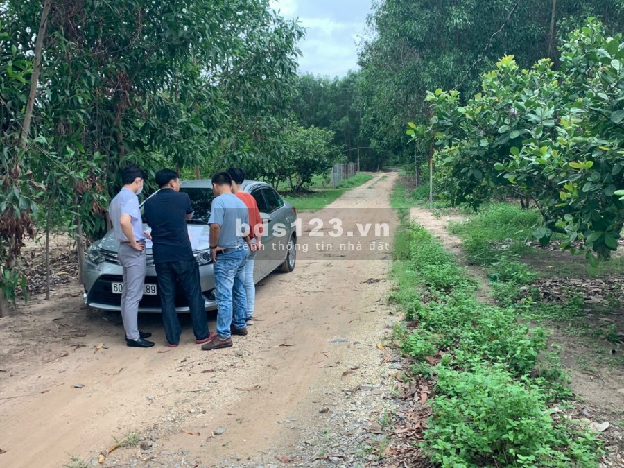 Top 3 lô đất đẹp nhất xã Phước Bình-Long Thành chính chủ cần bán