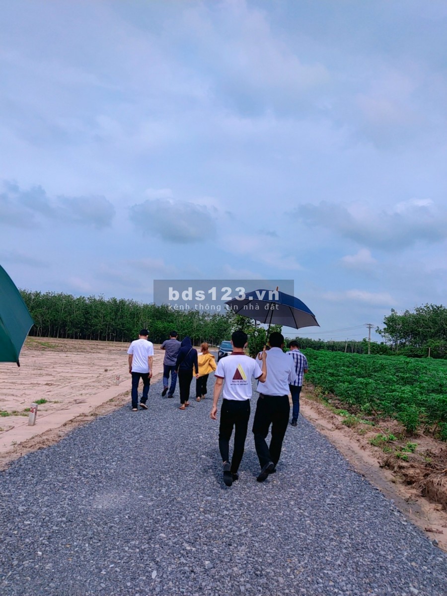 Đất Châu Thành, Tây Ninh giá rẻ, sổ sẵn, công chứng liền liên hệ 0967802732