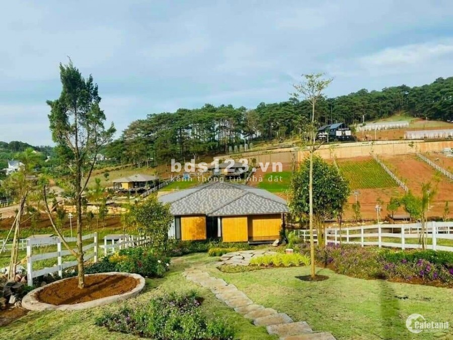 Đất biệt thự MEDI ECOVILL, sổ đỏ từng nền, 468 triệu sở hữu