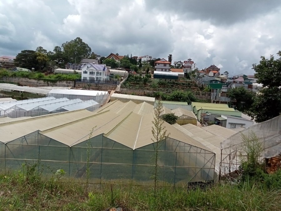 Cần bán đất mặt tiền đường gần đại học Yersin Đà Lạt, phường 8, đường Vạn Kiếp