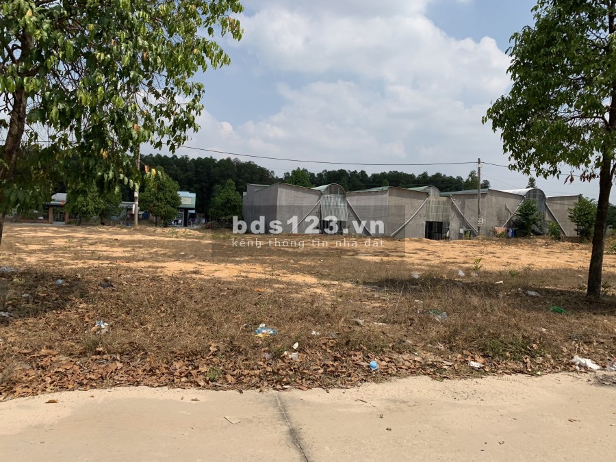 Sang gâp lô đất 300m2 gần kcn, gần chợ và trường học