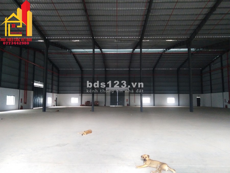 Cho thuê kho xưởng mới đẹp 2000m2 đường xe container Quận 9
