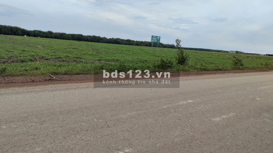 Bán gấp đất 2680m2, gần mặt tiền đường lớn, công ty, xí nghiệp hoạt động nhộn nhịp, giá 450 triệu