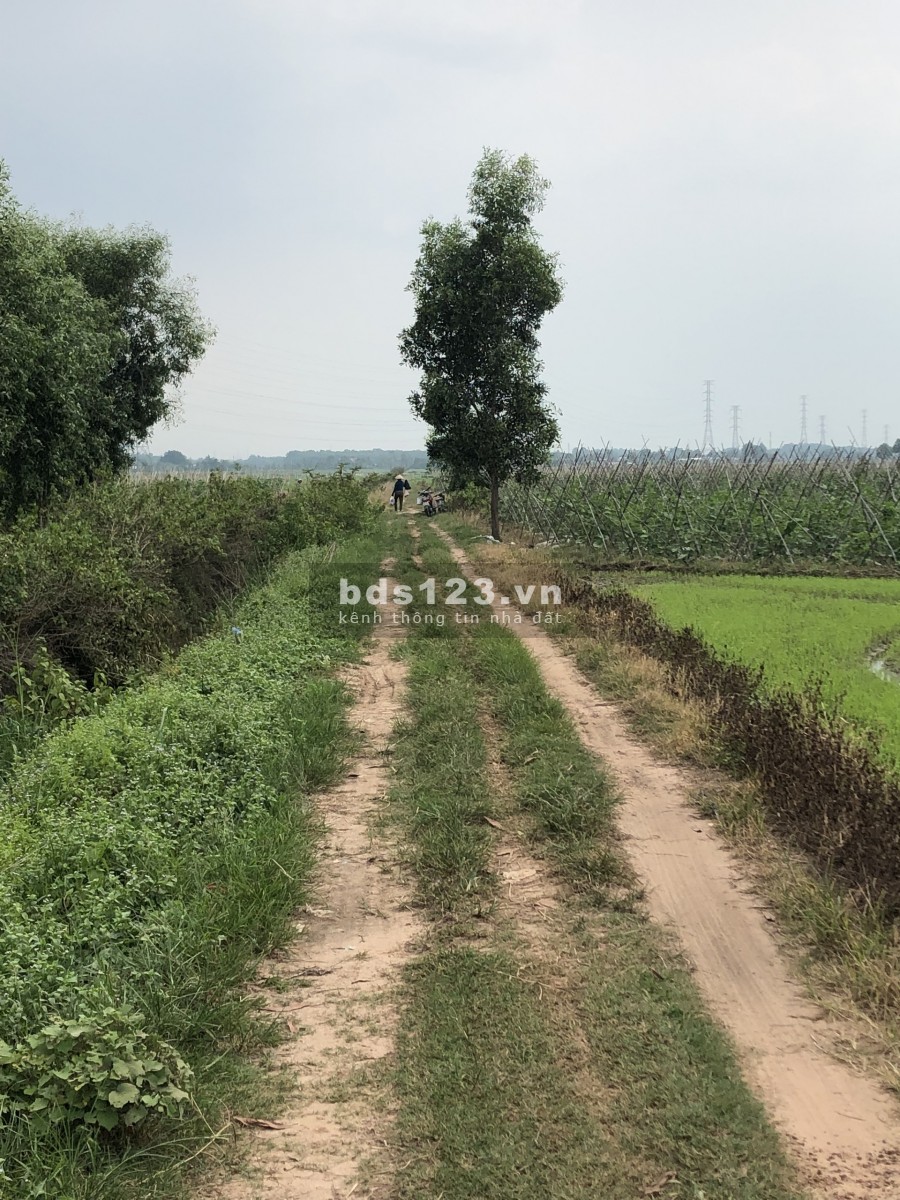 Cần bán 2273m2 đất ở xã nhuận đức.Gần 1tr2/m2, thích hợp đầu tư.