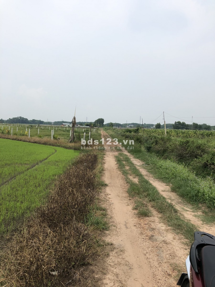 Cần bán 2273m2 đất ở xã nhuận đức.Gần 1tr2/m2, thích hợp đầu tư.