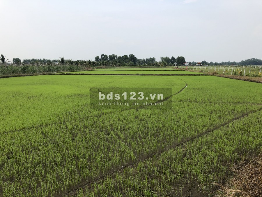 Cần bán 2273m2 đất ở xã nhuận đức.Gần 1tr2/m2, thích hợp đầu tư.