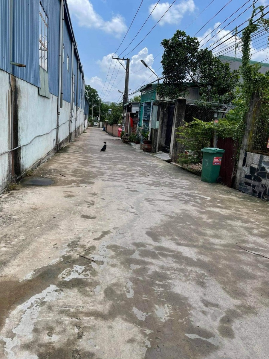 Cần bán nhà cấp 4 sổ riêng, kp3 phường Trảng Dài, mt đường 6m, khu vực đông dân cư
