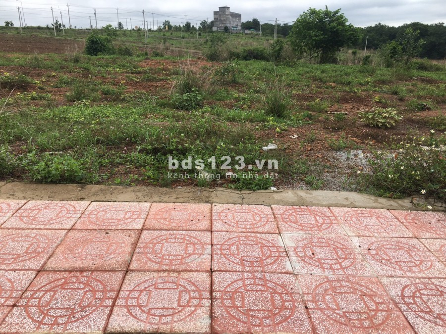 Đến tháng, cần bán gấp mảnh đất để chi trả lương cho nhân công