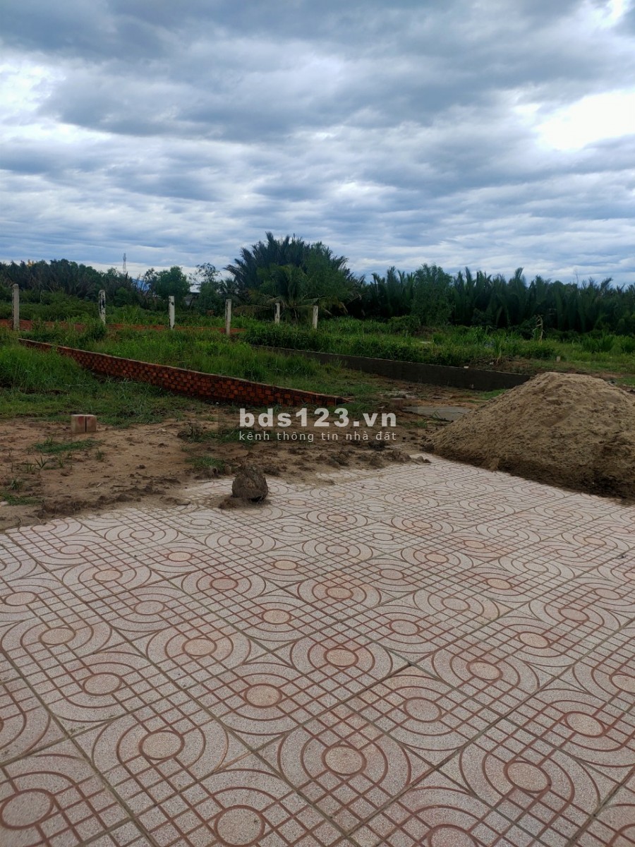 Cơ hội đầu tư đón đầu tương lại, giá sốc ưu đãi lớn, thổ cư 100%
