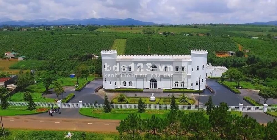 Bán đất biệt thự nghỉ dưỡng siêu HOT 300-600m2 Đambri Bảo Lộc Lâm Đồng