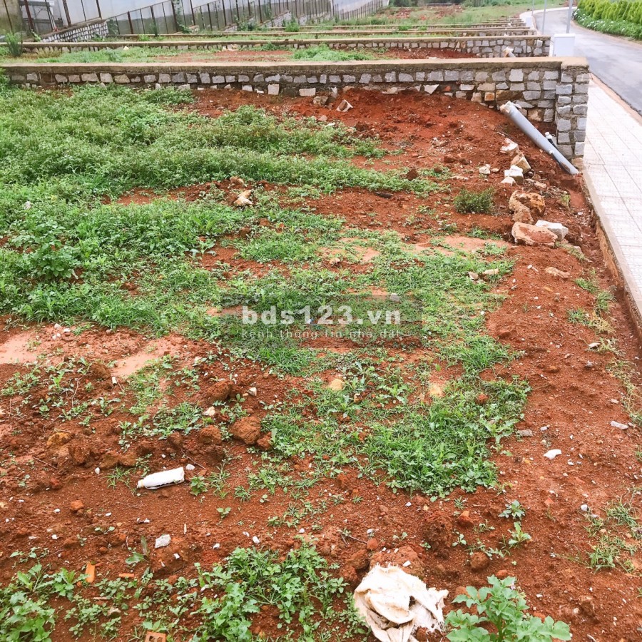 Quy hoạch KDC Số 1 tách thửa 18 lô đất nền P8 Đà Lạt (250m2) giá chỉ 32tr/m2