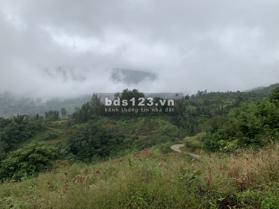 Diện Tích Lớn , View Đẹp , Ô Tô Vào , gần trung tâm , Không dính quy hoạch lại chưa Biết Tìm Đâu ?