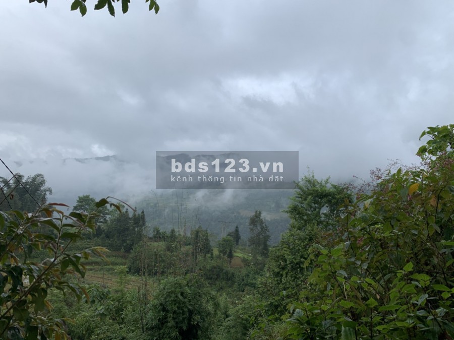 Diện Tích Lớn , View Đẹp , Ô Tô Vào , gần trung tâm , Không dính quy hoạch lại chưa Biết Tìm Đâu ?