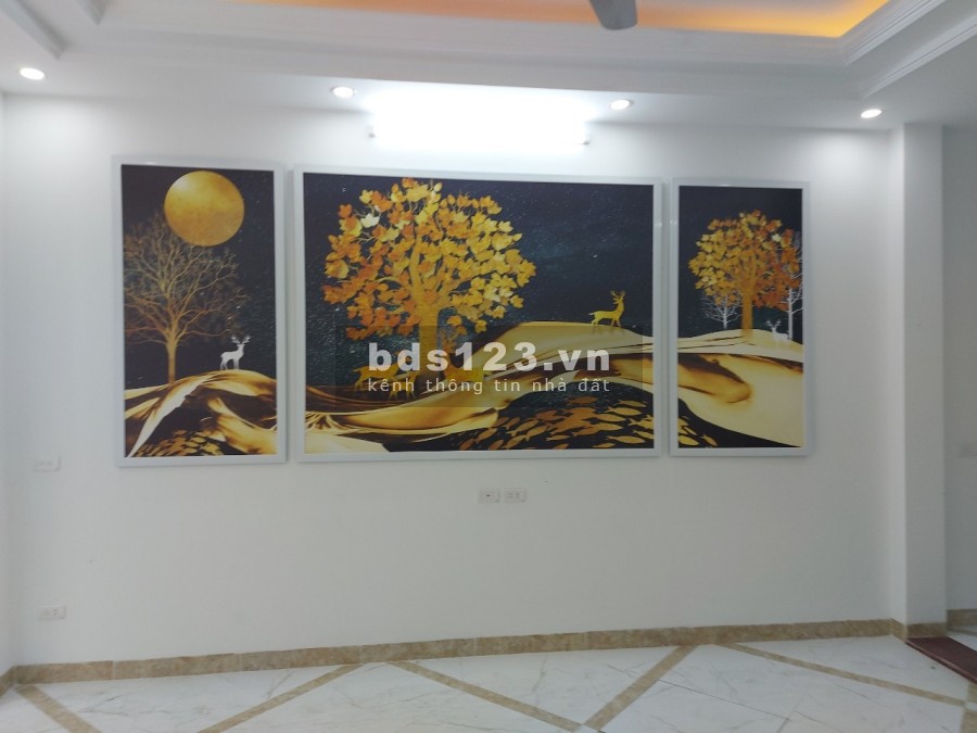 Bồ Đề - Hồng Tiến. Bán nhà 6 tầng, gara oto, thang máy Nhật 6.5 tỷ.
