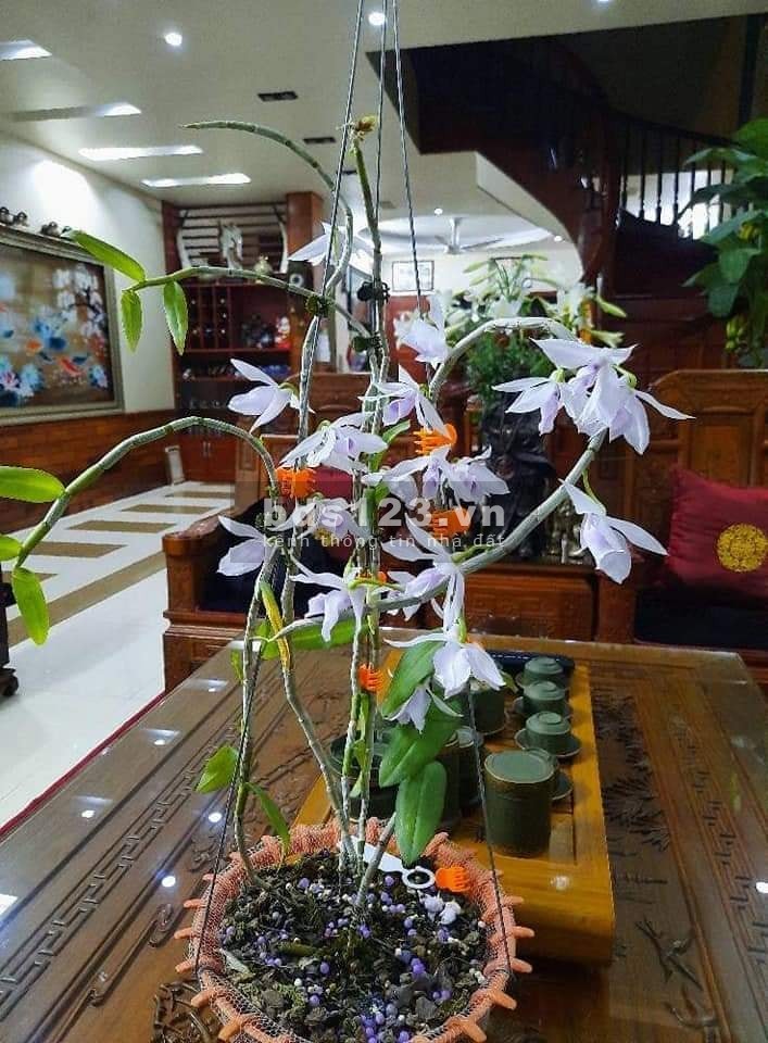 Cực hiếm nhà kinh doanh thuận tiện gần hồ Khâm Thiên, dtsd 54m2, 3 tầng, giá 4.05 tỷ