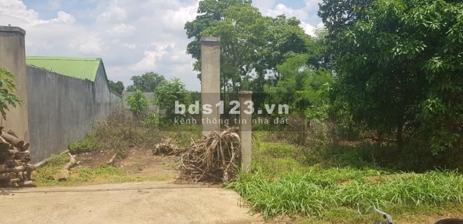 Cần bán gấp lô đất Bình Chánh, 6x22, giá 1tỷ900, cách MT Thanh Niên, SHR