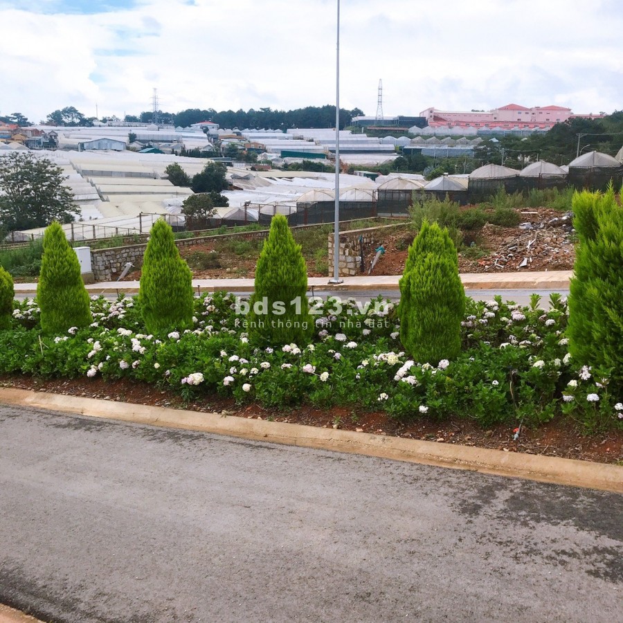 Đất nền trung tâm TP Đà Lạt View rừng thông gần chợ KDC hiện hữu