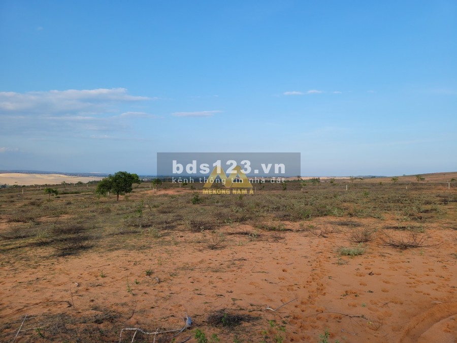 Đất Bình Thuận ven biển 2245m2, giá cực mắc LH: 0939.748.911