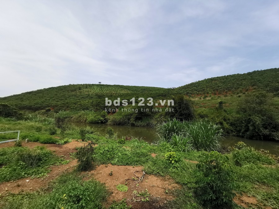 Đất Thành phố Bảo Lộc 130m² full thổ cư giá 680tr