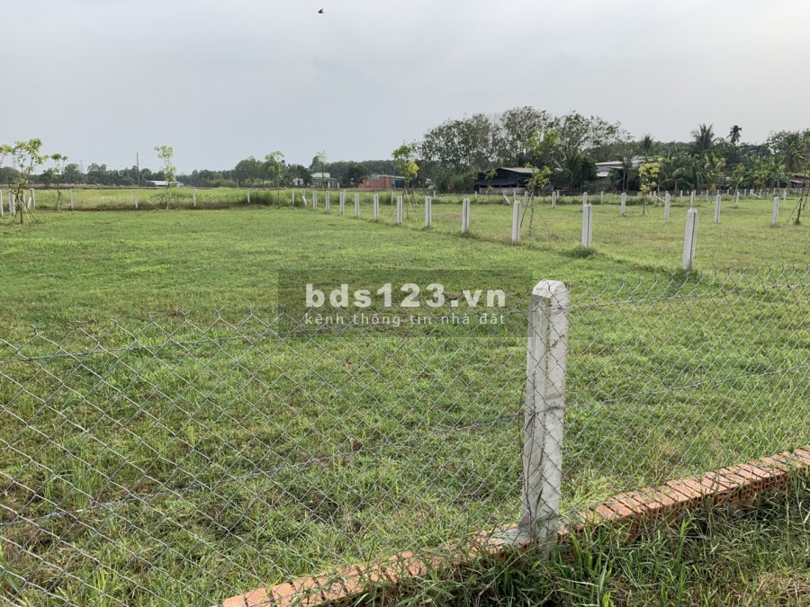 Đất vườn giá rẻ Củ Chi hơn 1000m2 1ty450 SHR công chứng sang tên ngay