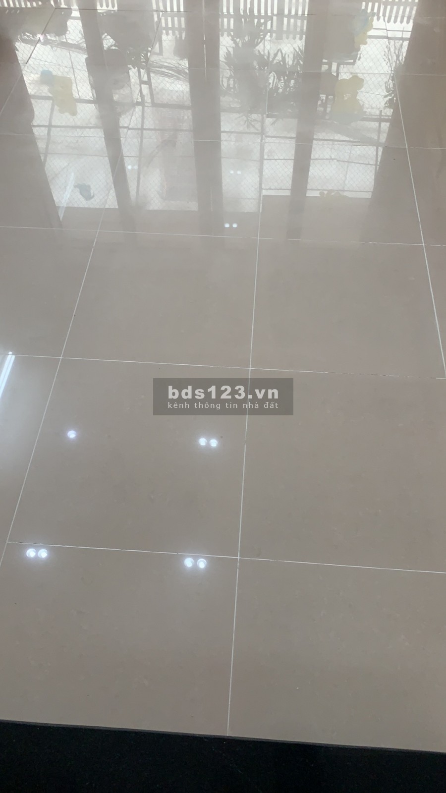 Cho thuê nhà nguyên căn 3,5 tầng tại Hoàng Mai
