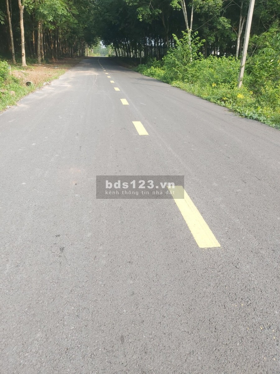 BÁN 2056M2 đất đẹp làm kho xưởng ngay khu Công Nghiệp Phước Bình