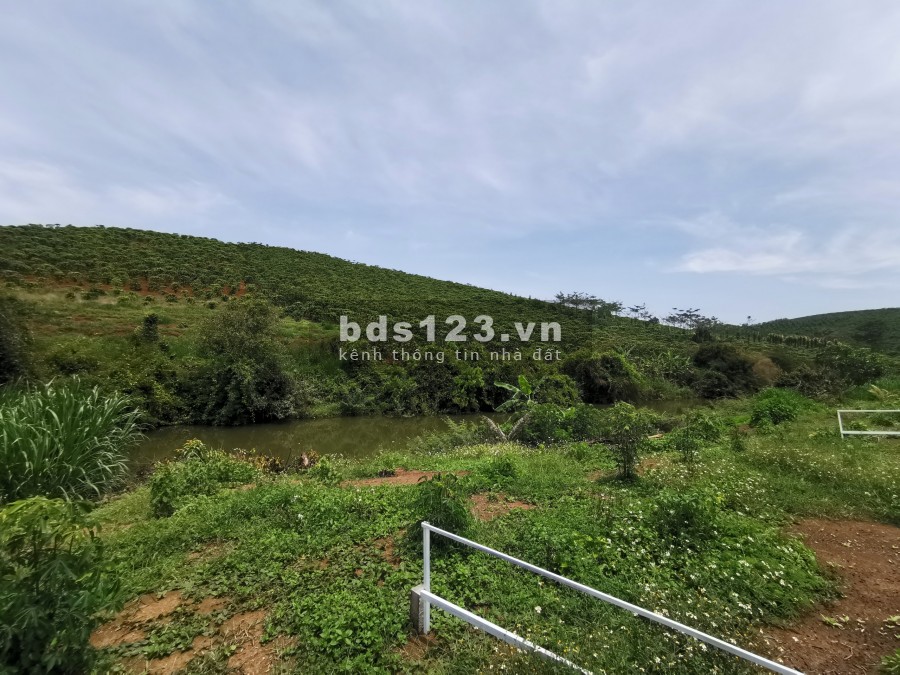 Đất Thành phố Bảo Lộc 130m² full thổ cư giá 680tr