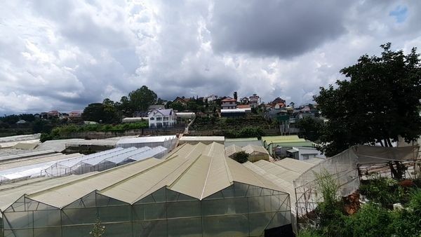 ĐẤT MẶT TIỀN ĐƯỜNG VẠN KIẾP P8, ĐÀ LẠT