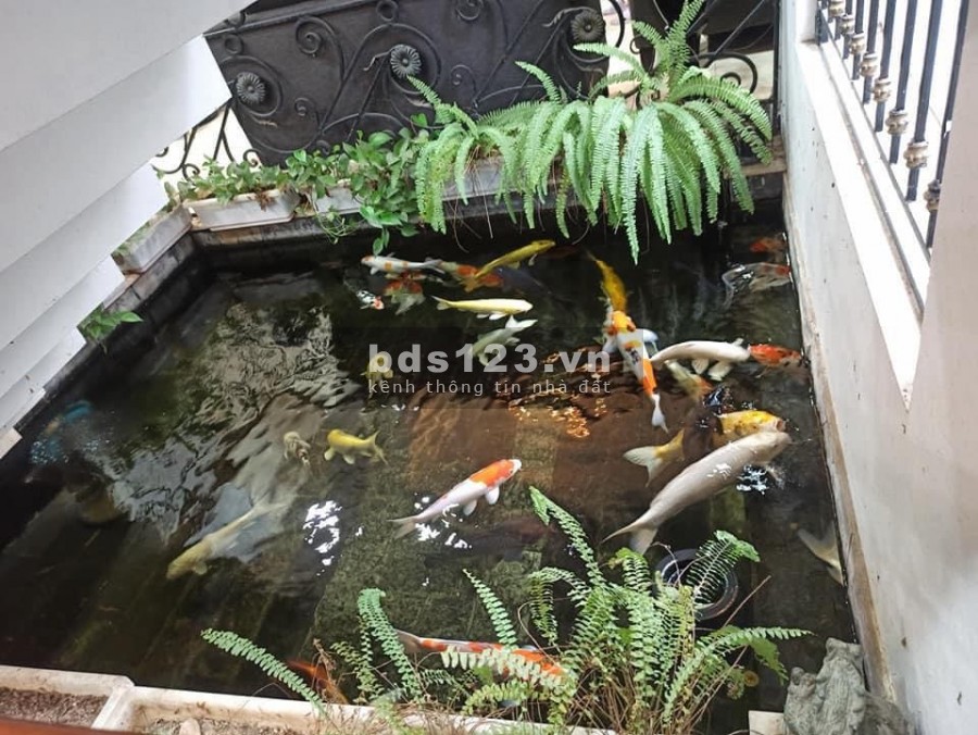 Biệt thự liền kề đẳng cấp, hiện địa, không gian sống lý tưởng