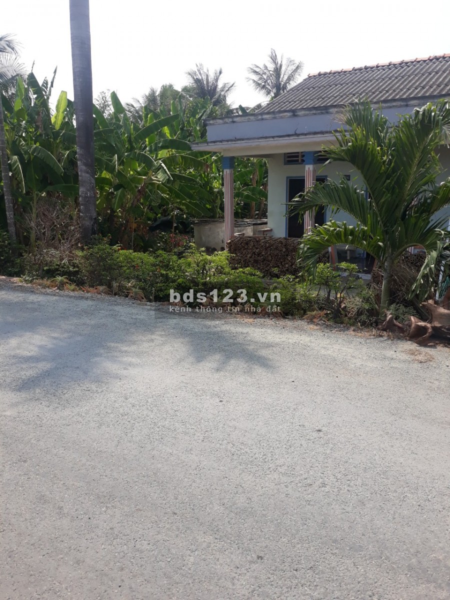 Đất Cần Đước Giá 2.5 Tỷ Thương lượng