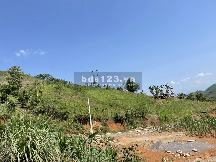 Mảnh đất Mộc Châu giá rẻ như cho, lam Farm thì hết ý ạ