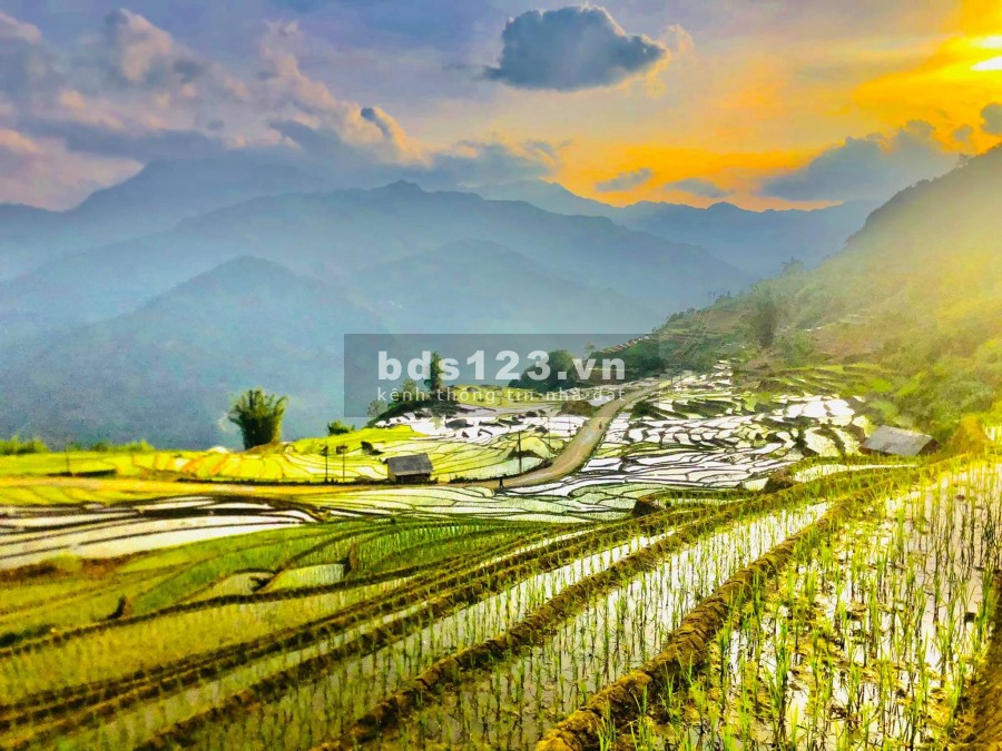 Lô đất view ruộng bậc thang đẹp nhất Y Tý. 0822356688