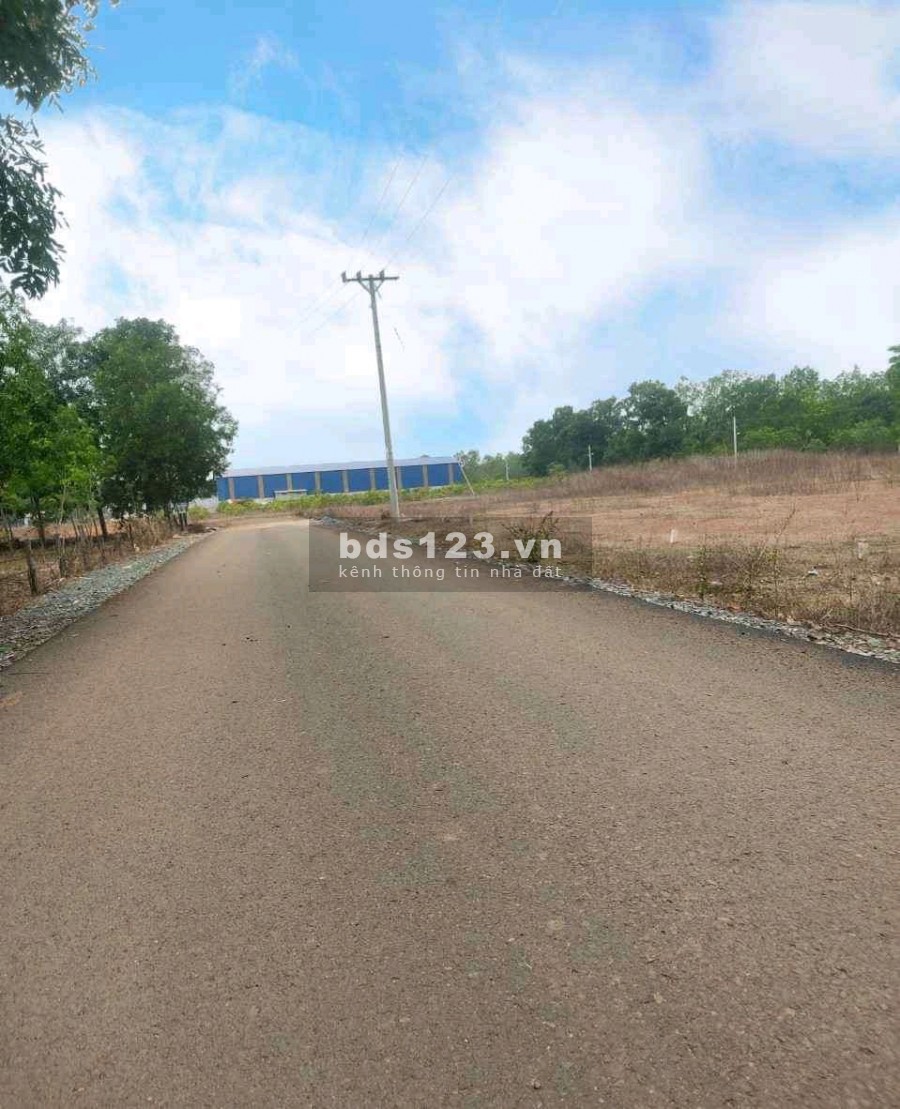 Cần tiền cho con đi du học bán gấp 2000m2, ngay tại khu công nghiệp.