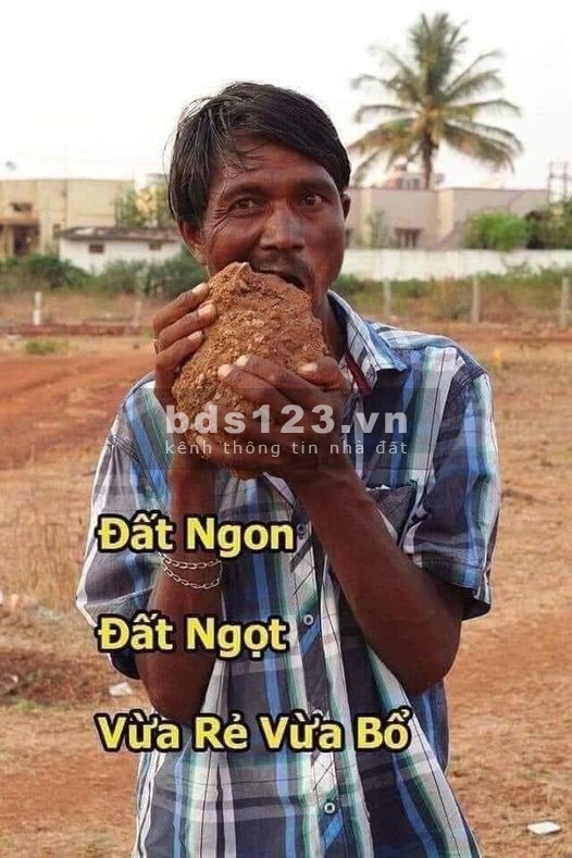 Vợ chồng tôi có 2 dảy nhà trọ ngay KCN mỹ phước 3 bình dương cần bán gấp, vị trí đẹp, đầu tư, cho công nhân thuê ở tốt