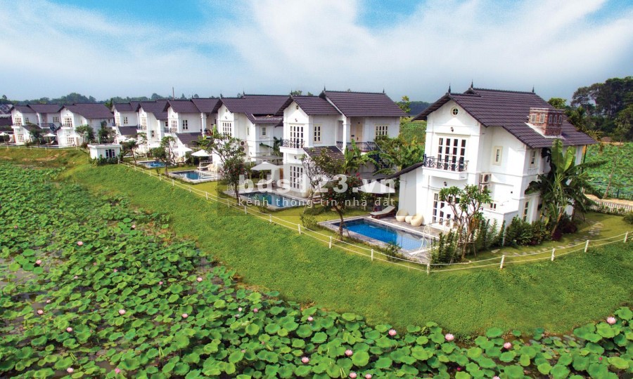 Với 2,428 tỷ lãi suất 0% sở hữu biệt thự Vip, lợi nhuận cao 15% năm