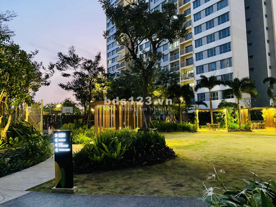Cho thuê gấp căn hộ chính chủ Palm Heights, mới 100%, chốt nhanh 15 triệu giá tốt thị trường