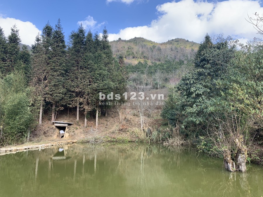 Hàng quý hiến giờ em mới bung…Lô 1500m View siêu đẹp (Em là số 2 thì không ai là số 1)