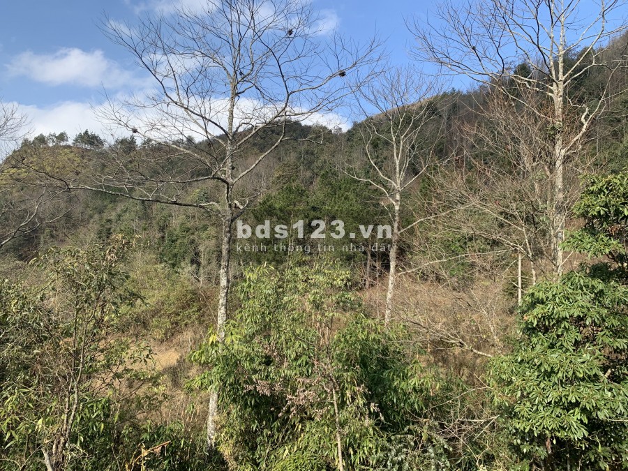 Hàng quý hiến giờ em mới bung…Lô 1500m View siêu đẹp (Em là số 2 thì không ai là số 1)