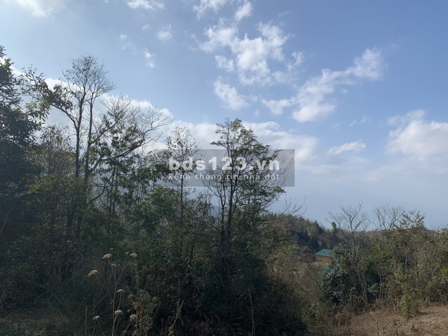 Hàng quý hiến giờ em mới bung…Lô 1500m View siêu đẹp (Em là số 2 thì không ai là số 1)