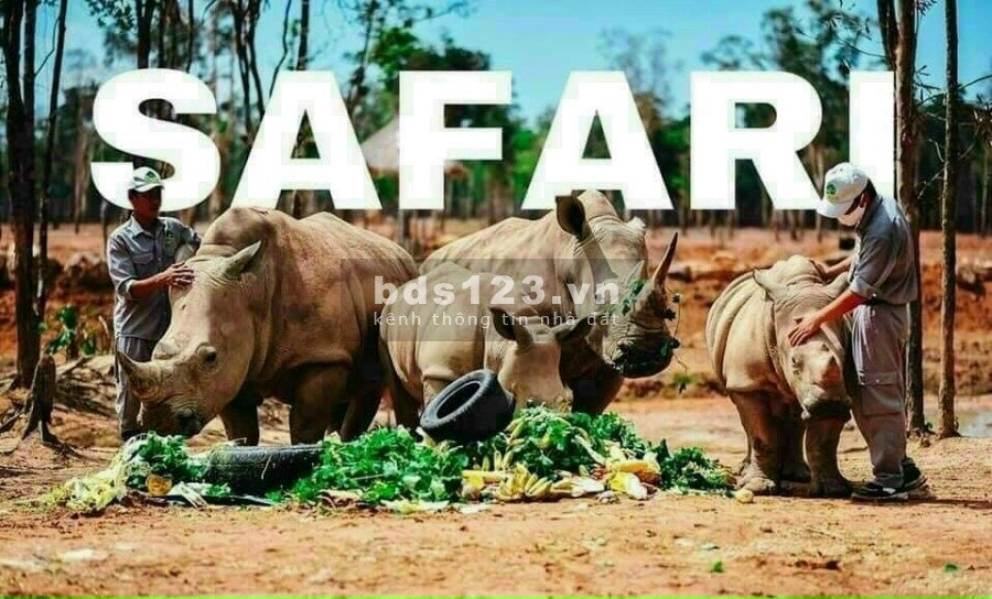 Bán lô đất ngay cạnh đường liên huyện, khu Safari, trang trại dưa lưới, sổ có đường chỉ 982 triệu