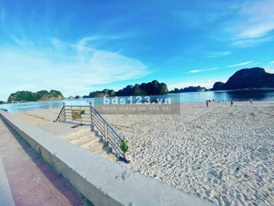 Bán lô đất nền dự án TTP Green Dragon City Cẩm Phả giá rẻ giật mình