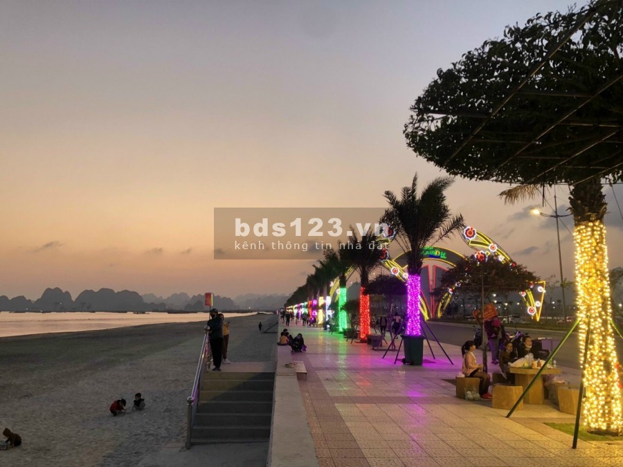 Bán lô đất nền dự án TTP Green Dragon City Cẩm Phả giá rẻ giật mình